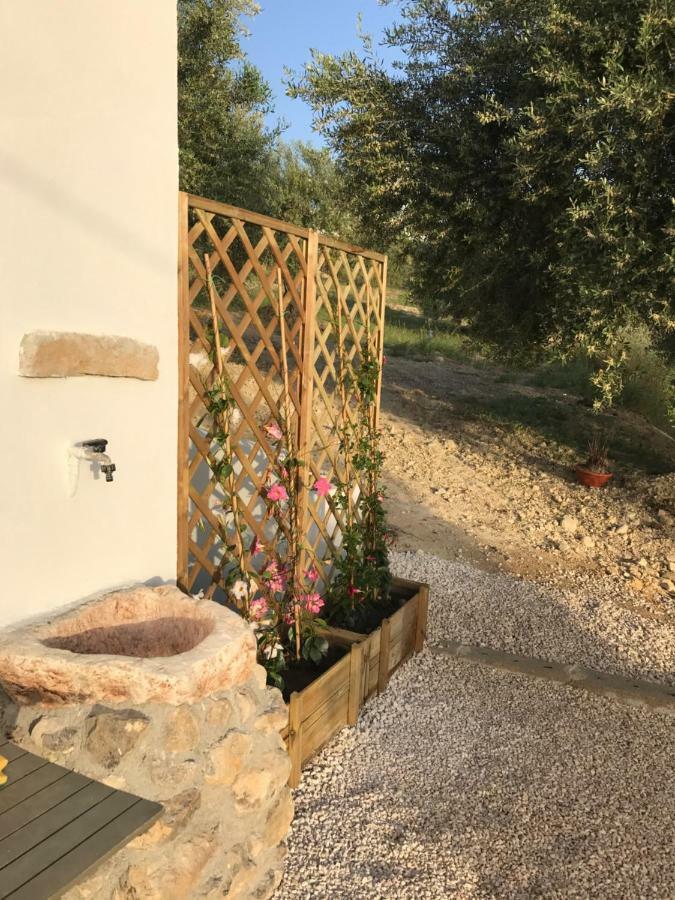 La Casa Bianca Bed & Breakfast Ното Екстериор снимка